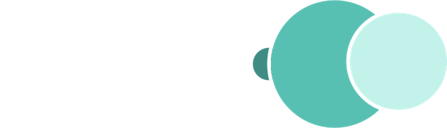 Flayr logo — reversed preview