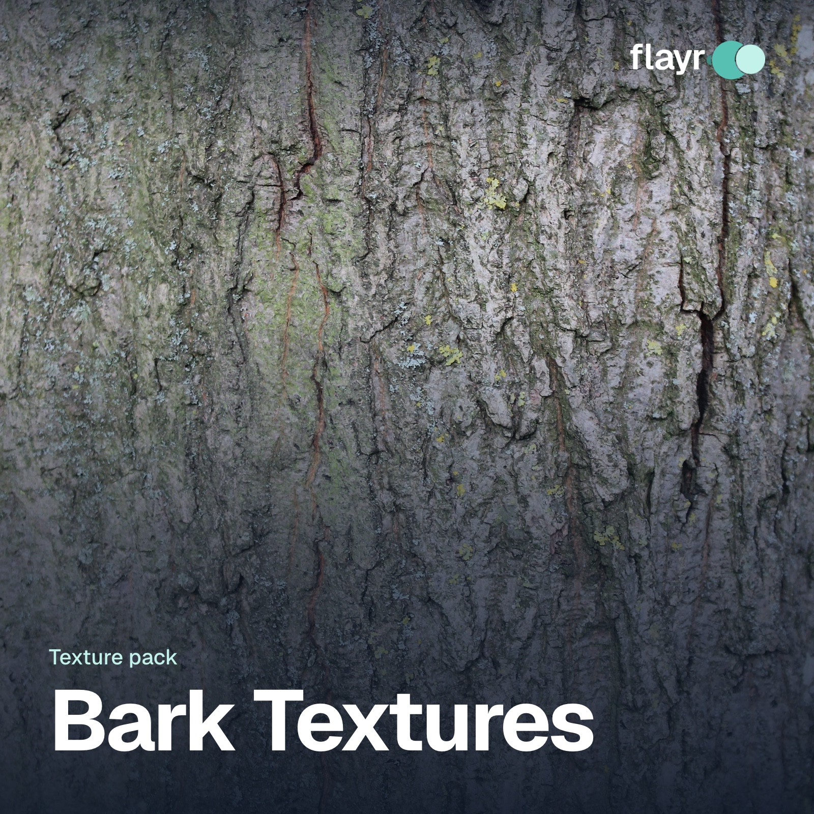 Bark Textures texture pack: a full-frame texture from the pack with its name
